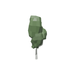 Birch Tree 3